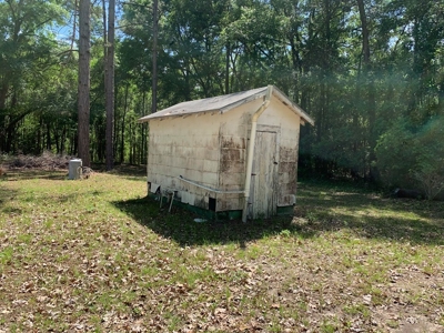 250+ Acres Timberland - North Central Florida, Newberry - image 19