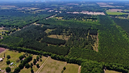 250+ Acres Timberland - North Central Florida, Newberry - image 31