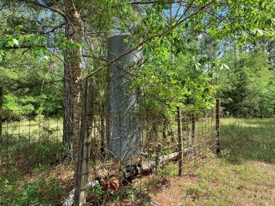 250+ Acres Timberland - North Central Florida, Newberry - image 17