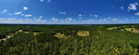 250+ Acres Timberland - North Central Florida, Newberry - image 39
