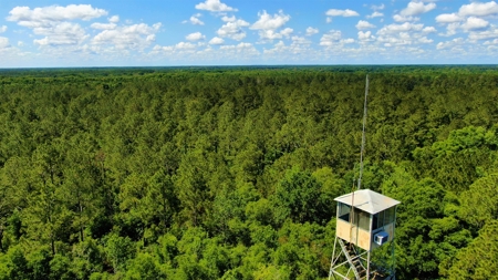250+ Acres Timberland - North Central Florida, Newberry - image 41