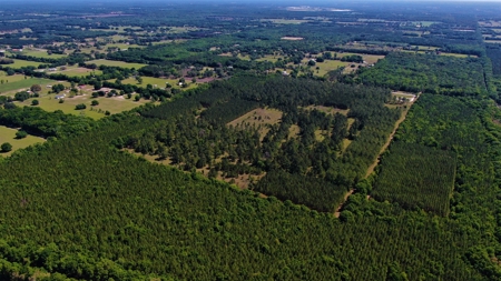 250+ Acres Timberland - North Central Florida, Newberry - image 34