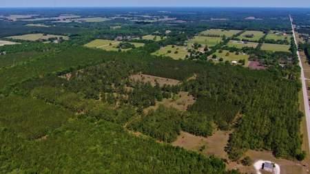 250+ Acres Timberland - North Central Florida, Newberry - image 36