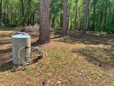250+ Acres Timberland - North Central Florida, Newberry - image 14