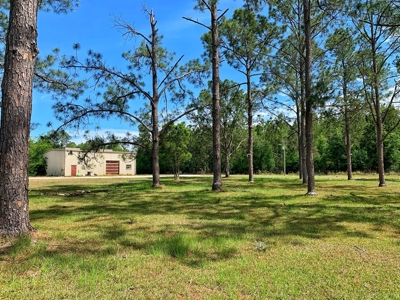250+ Acres Timberland - North Central Florida, Newberry - image 22