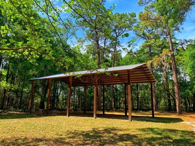 250+ Acres Timberland - North Central Florida, Newberry - image 10