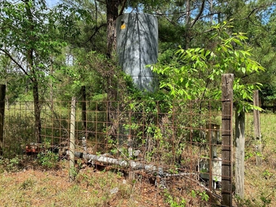 250+ Acres Timberland - North Central Florida, Newberry - image 20