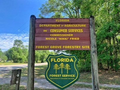 250+ Acres Timberland - North Central Florida, Newberry - image 21