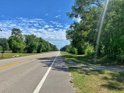 250+ Acres Timberland - North Central Florida, Newberry - image 15