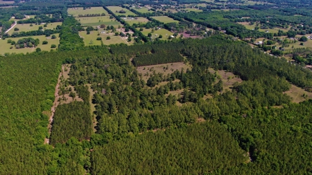 250+ Acres Timberland - North Central Florida, Newberry - image 35