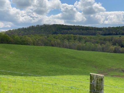 SOLD  SOLD  Poultry Farm For Sale in Albany, KY - image 6