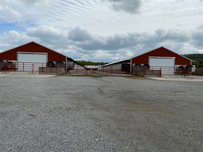 SOLD  SOLD  Poultry Farm For Sale in Albany, KY - image 33