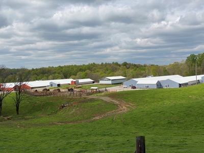 SOLD  SOLD  Poultry Farm For Sale in Albany, KY - image 4