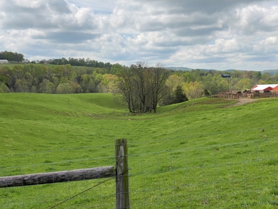 SOLD  SOLD  Poultry Farm For Sale in Albany, KY - image 5