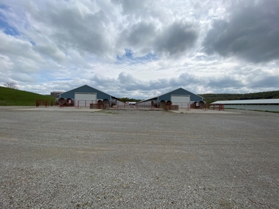 SOLD  SOLD  Poultry Farm For Sale in Albany, KY - image 38