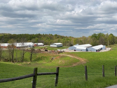 SOLD  SOLD  Poultry Farm For Sale in Albany, KY - image 3