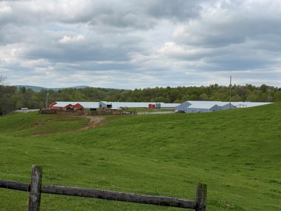 SOLD  SOLD  Poultry Farm For Sale in Albany, KY - image 1