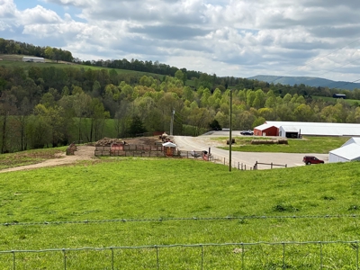 SOLD  SOLD  Poultry Farm For Sale in Albany, KY - image 2
