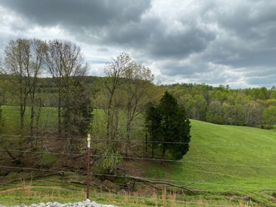 SOLD  SOLD  Poultry Farm For Sale in Albany, KY - image 28