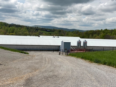 SOLD  SOLD  Poultry Farm For Sale in Albany, KY - image 11