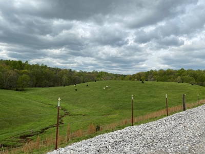 SOLD  SOLD  Poultry Farm For Sale in Albany, KY - image 27