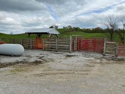 SOLD  SOLD  Poultry Farm For Sale in Albany, KY - image 45