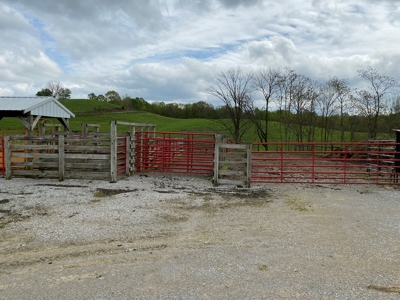 SOLD  SOLD  Poultry Farm For Sale in Albany, KY - image 46