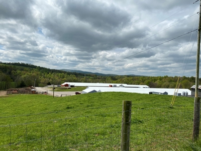 SOLD  SOLD  Poultry Farm For Sale in Albany, KY - image 7