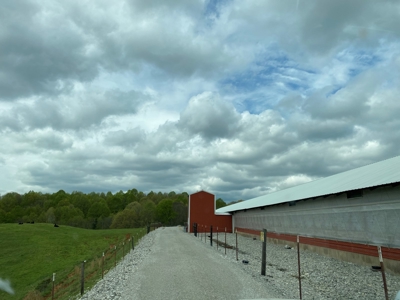 SOLD  SOLD  Poultry Farm For Sale in Albany, KY - image 29