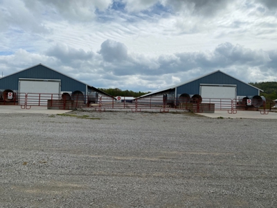 SOLD  SOLD  Poultry Farm For Sale in Albany, KY - image 37