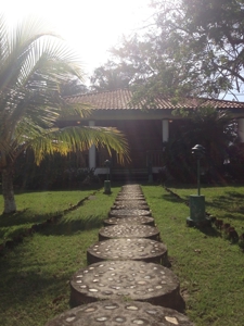 Caribbean Sea Coastal Land, 600ac, 4 casas, 1.5mi beachfront - image 17
