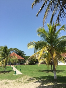 Caribbean Sea Coastal Land, 600ac, 4 casas, 1.5mi beachfront - image 12