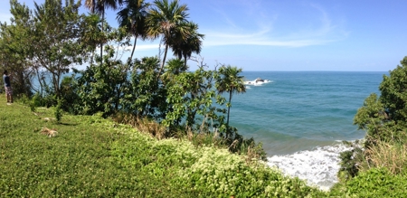 Caribbean Sea Coastal Land, 600ac, 4 casas, 1.5mi beachfront - image 21