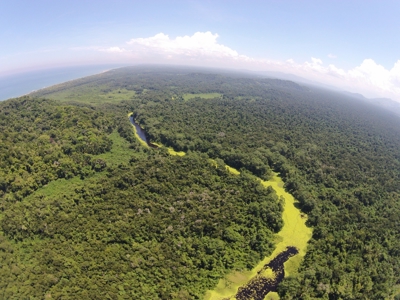 Caribbean Sea Coastal Land, 600ac, 4 casas, 1.5mi beachfront - image 4
