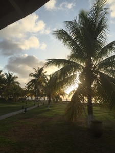 Caribbean Sea Coastal Land, 600ac, 4 casas, 1.5mi beachfront - image 8