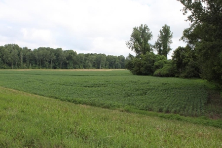 St. Charles County Realtree UC Hunting Farm with Income - image 17