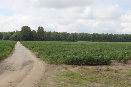 St. Charles County Realtree UC Hunting Farm with Income - image 2