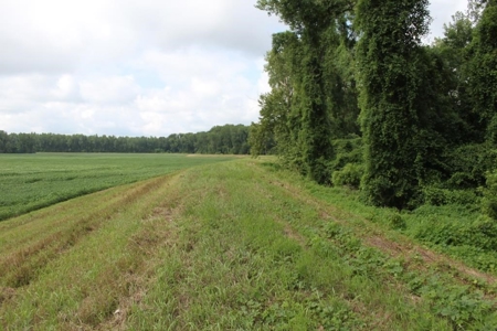 St. Charles County Realtree UC Hunting Farm with Income - image 4