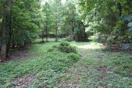 St. Charles County Realtree UC Hunting Farm with Income - image 10
