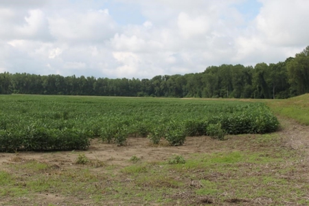 St. Charles County Realtree UC Hunting Farm with Income - image 3