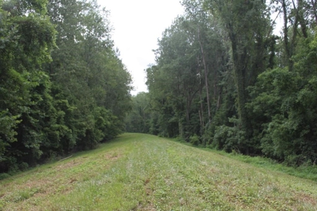 St. Charles County Realtree UC Hunting Farm with Income - image 14