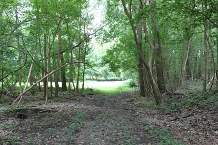 St. Charles County Realtree UC Hunting Farm with Income - image 12