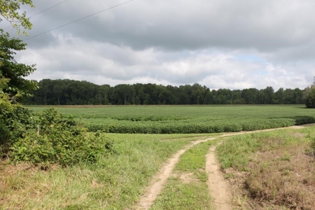 St. Charles County Realtree UC Hunting Farm with Income - image 8