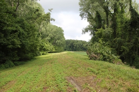 St. Charles County Realtree UC Hunting Farm with Income - image 15