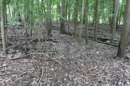St. Charles County Realtree UC Hunting Farm with Income - image 16