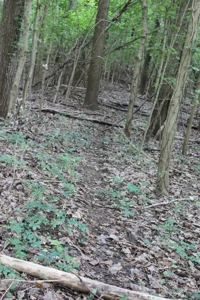 St. Charles County Realtree UC Hunting Farm with Income - image 24
