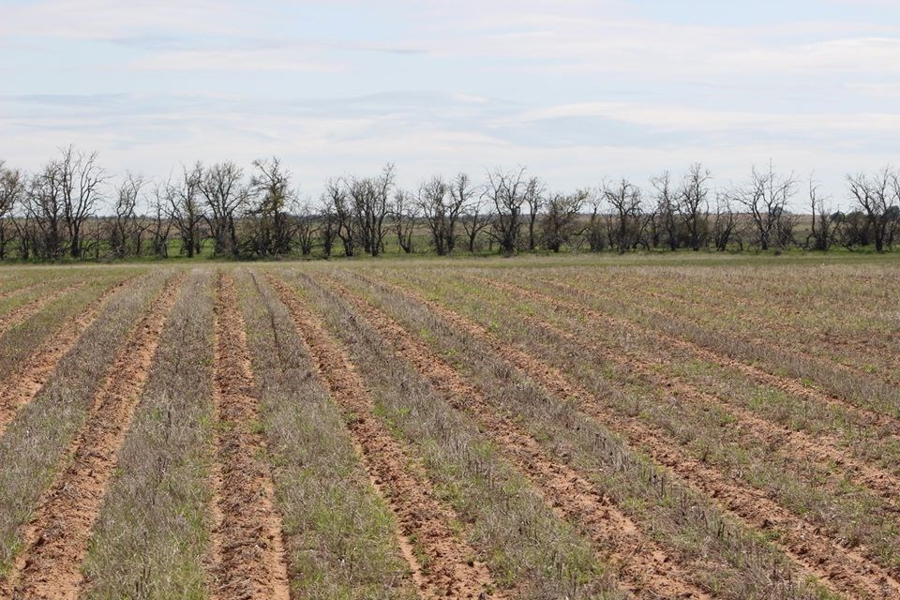 Oklahoma Farm-Ranch For Sale8