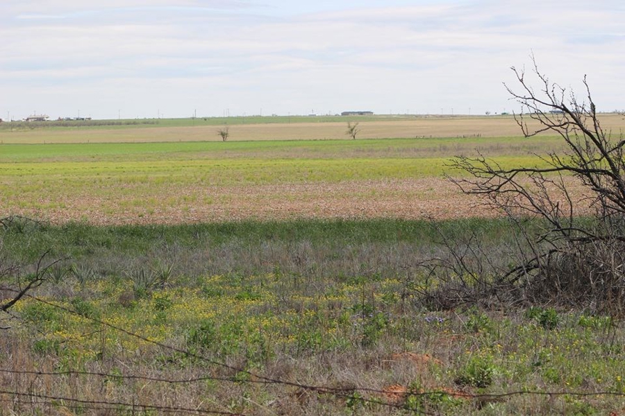 Oklahoma Farm-Ranch For Sale18
