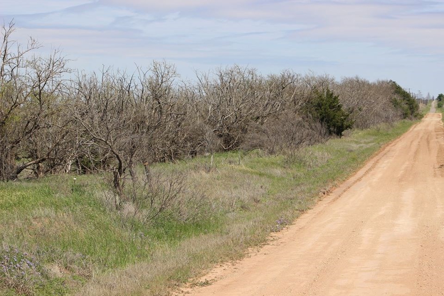 Oklahoma Farm-Ranch For Sale16