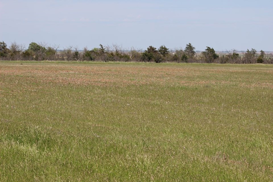 Oklahoma Farm-Ranch For Sale10
